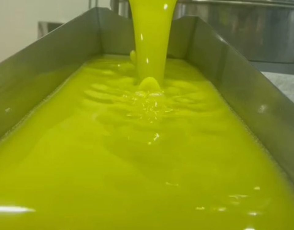 Aceite Verde Jaén